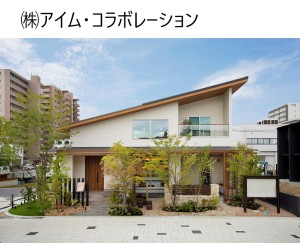 aimu