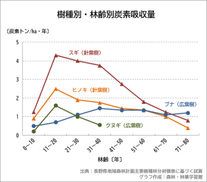 樹種別炭素吸収量