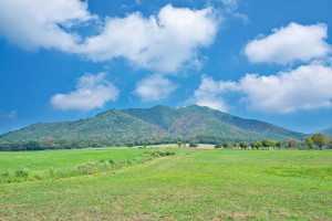 蒜山の自然