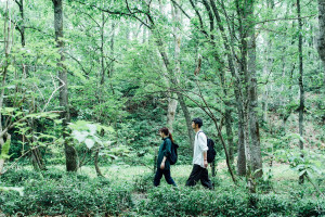 蒜山の自然をあるく